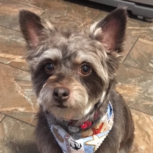 loveforbaxter